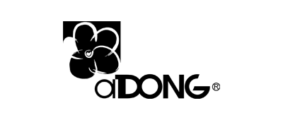 A dong